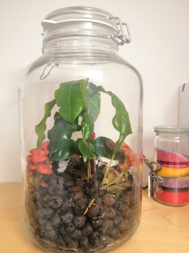 Berichte Ewiges Terrarium Unendliches Leben